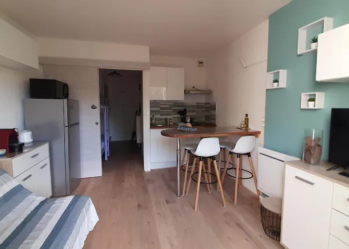 Le Petit Bois Flotte 250 M Mer Avec Parking Et Balcon